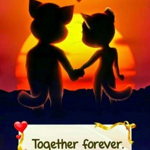 Meet your Posher, Dee